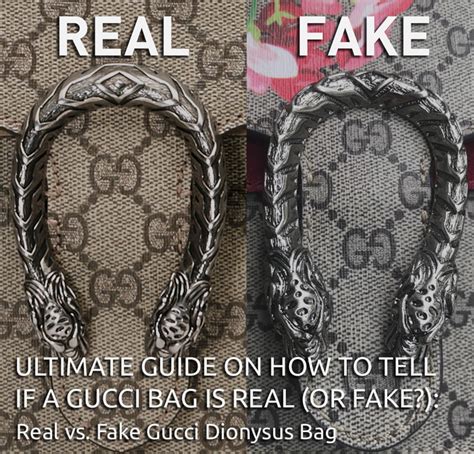 gucci fake website